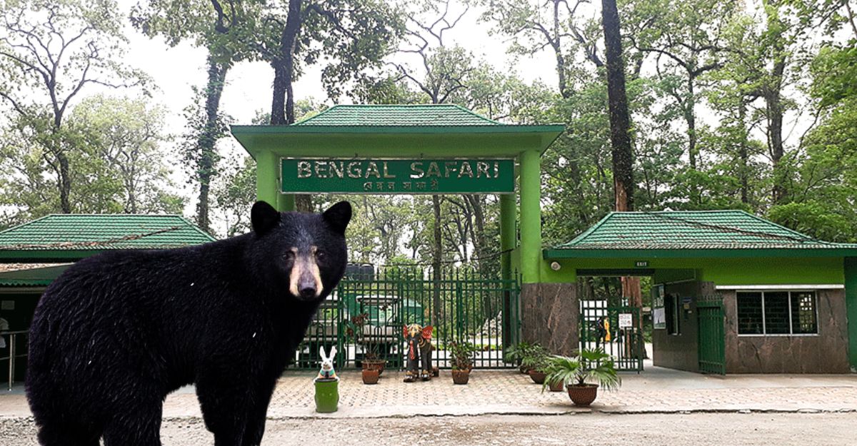 Bengal Safari Park will showcase 18 group of new animals