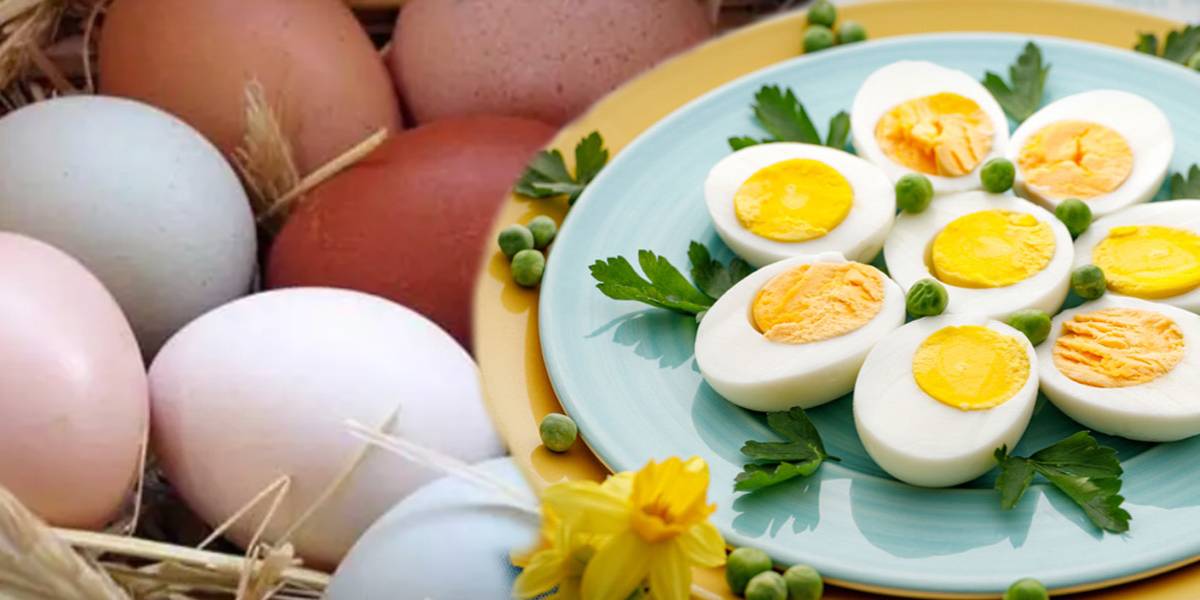 Health Tips what happens if you eat 3 eggs daily nutritionist's opinions