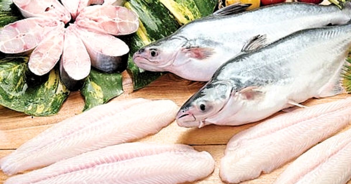 Recipe Pangasius Fish is full of nutrients,You will be surprised to know its benefits