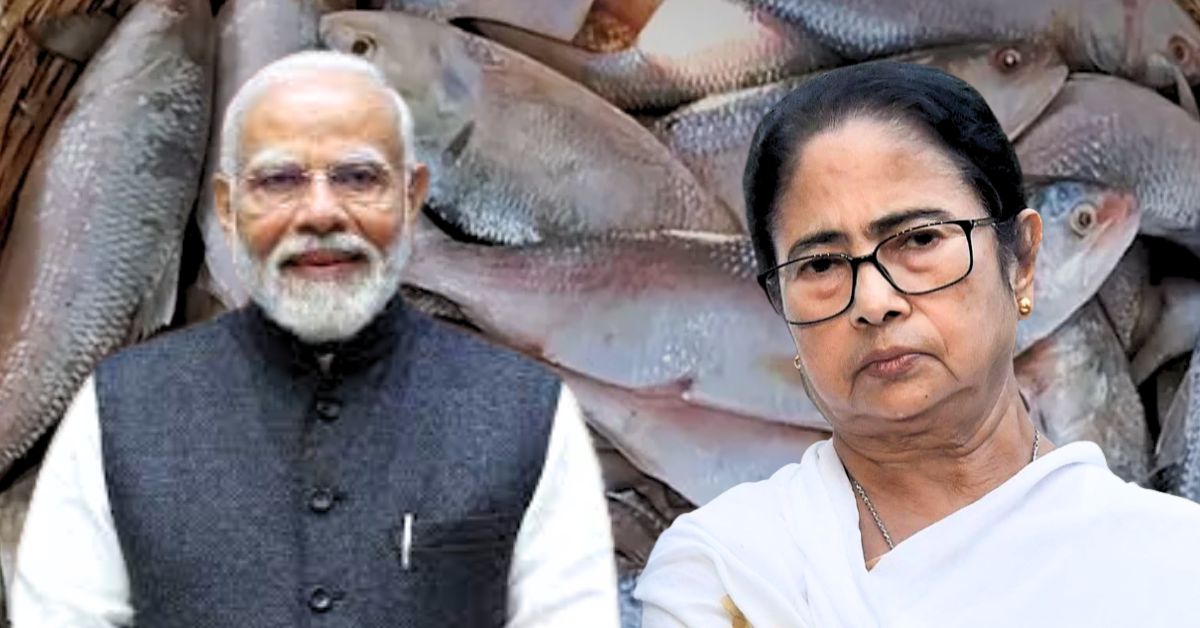 Hilsa Fish Gujarat is meeting the demand for Hilsa in West Bengal