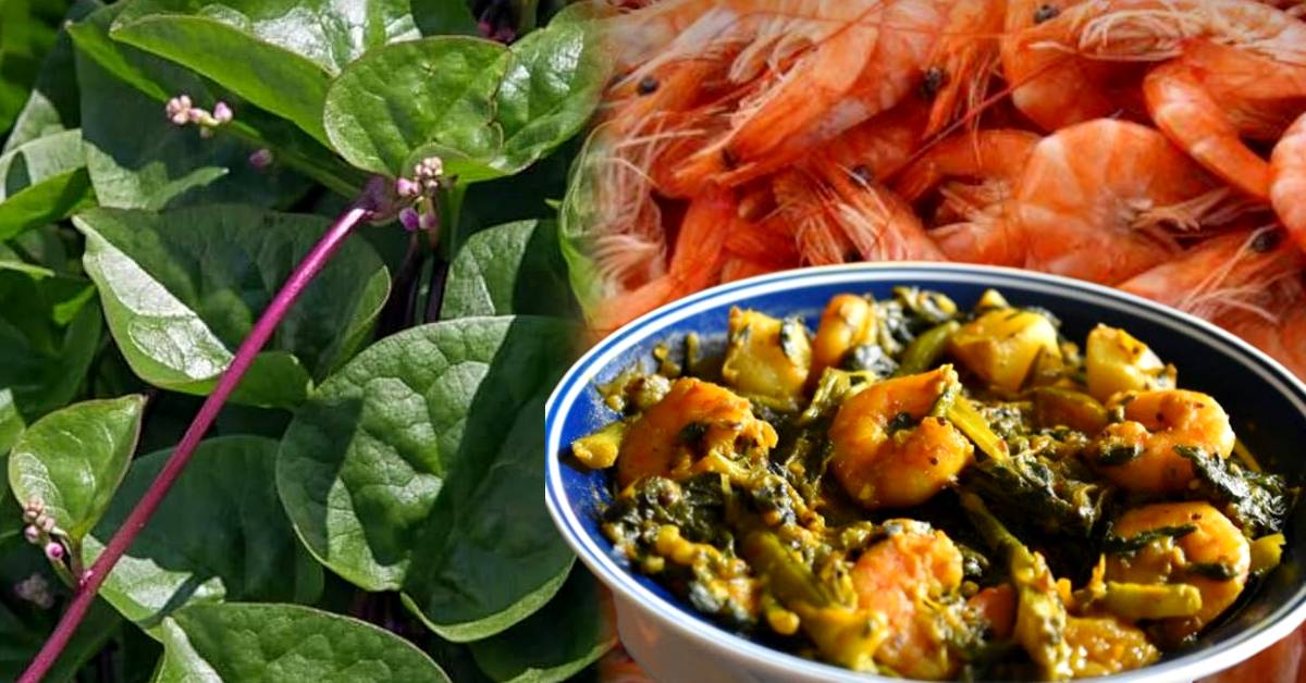 Bengali Recipe of Malabar Spinach with Prawn curry