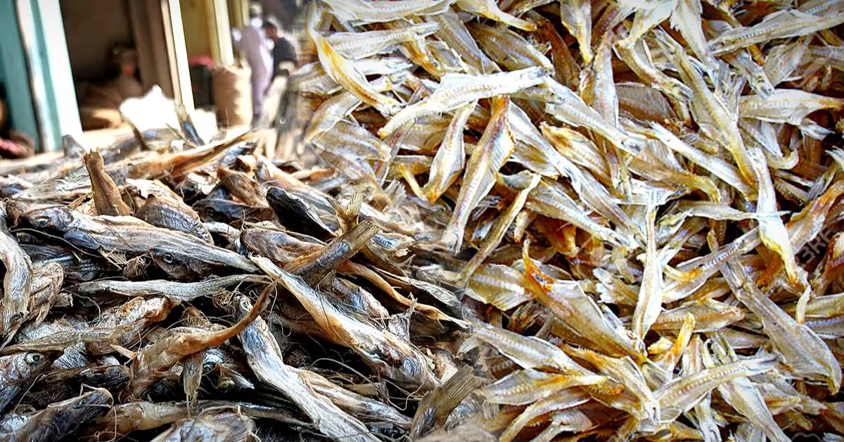 Health this fish contains more iron than vegetables, know what nutritionists say
