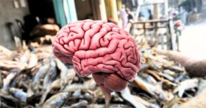 Health this fish contains more iron than vegetables, know what nutritionists say