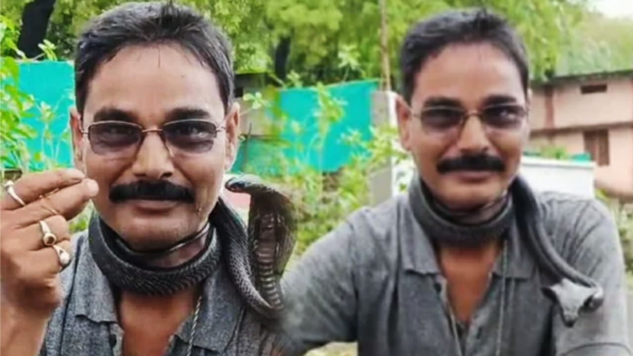 Snake catcher terrible fate as cobra bite him in neck