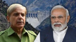 Pakistan will be affected by this move of India.