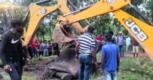 Jhargram a herd of elephants on the railway line all killed by an express train in night