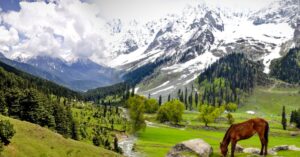 Kashmir after three months Life is returning to Kashmir but outcry over train tickets 