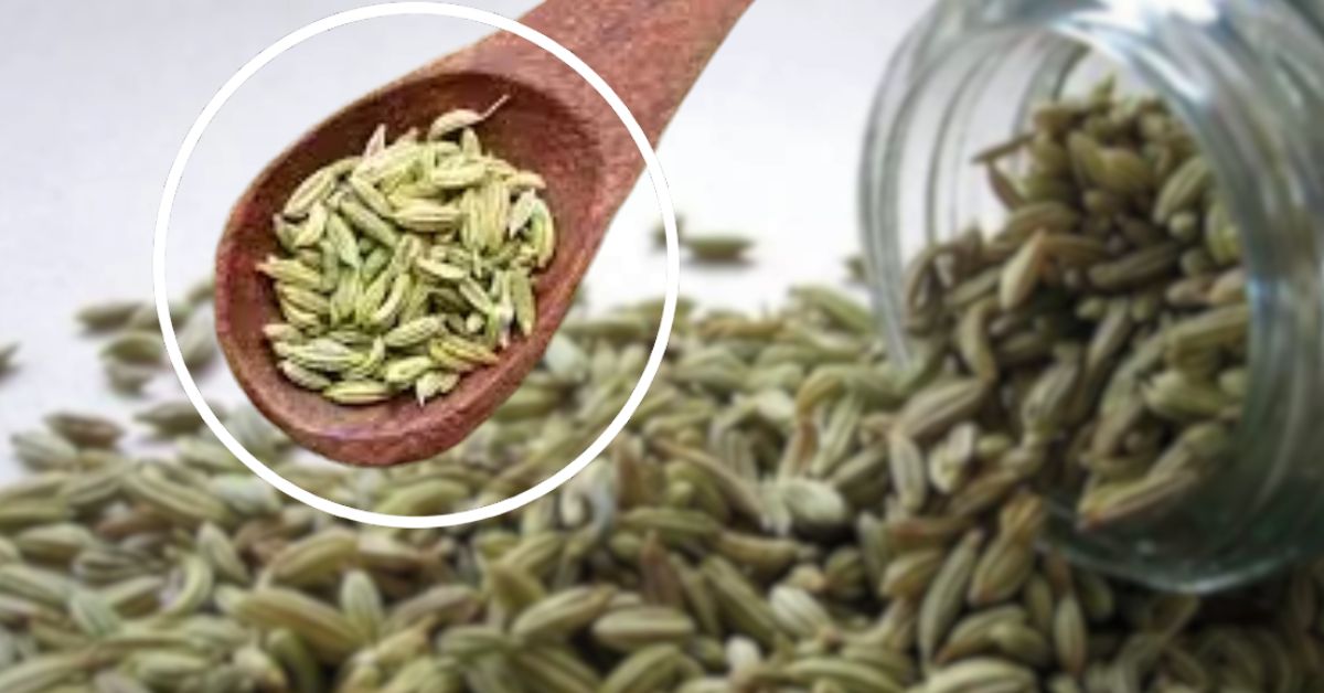 Health Tips a part from cooking there are also benefits of fennel seeds if you eat 1 teaspoon every day