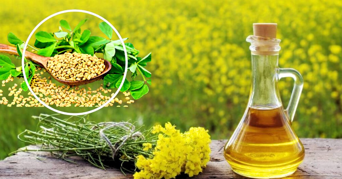 Hair Care home remedies for hair How to use Mustard Oil to regrow hair on bald spots