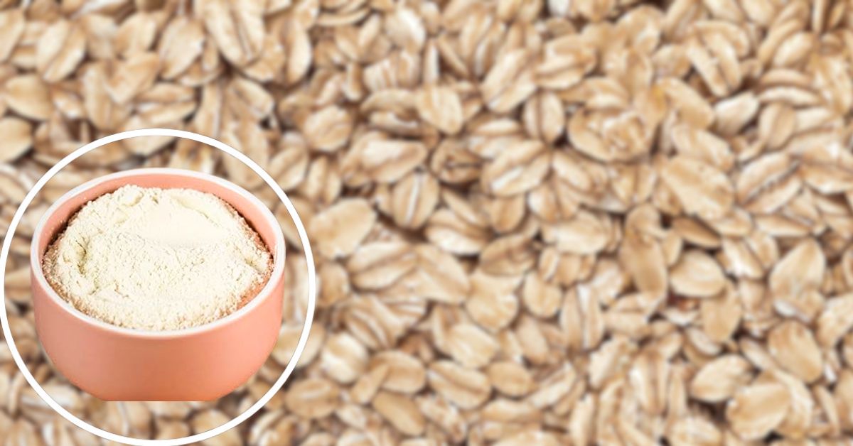 Recipe make protein powder with few ingredients at home