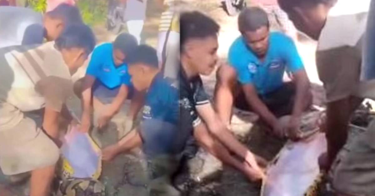 Viral video A python swallowed a man in Indonesia