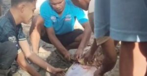 Viral video A python swallowed a man in Indonesia