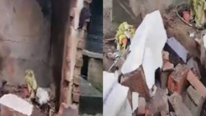 Terrible explosion at Trinamool worker's house in Murshidabad.