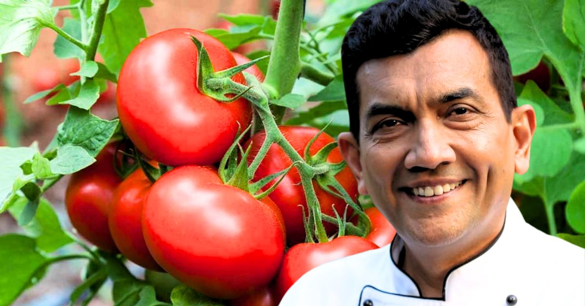 Cooking Tips Chef Sanjeev Kapoor share 3 tomato substitute for Indian cuisine