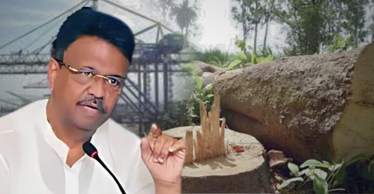 Kolkata Port accused of illegal tree cutting