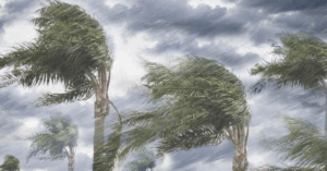 South Bengal weather update 25 july 2025