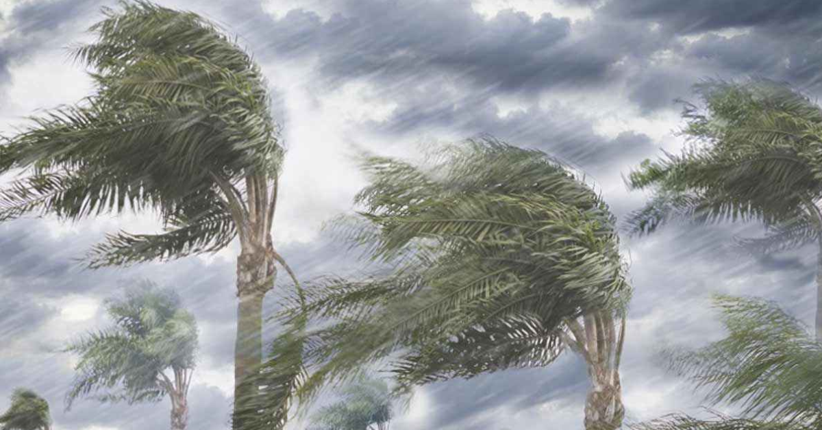 South Bengal weather update 25 july 2025