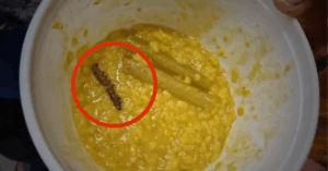 Mid day meal scam in west bengal