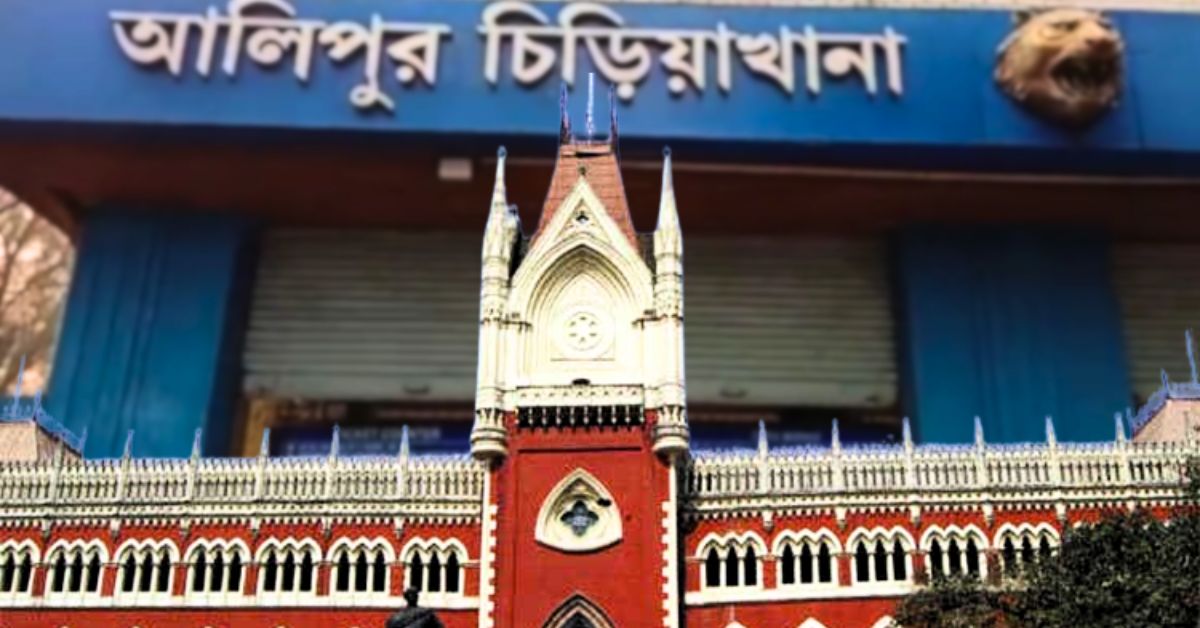 Calcutta High Court more than 300 animals missing from Alipore Zoo, case filed Swazon voluntary organization