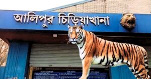Calcutta High Court more than 300 animals missing from Alipore Zoo, case filed Swazon voluntary organization