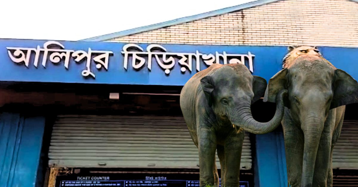 Alipore Zoo 59 endangered species of animals have disappeared