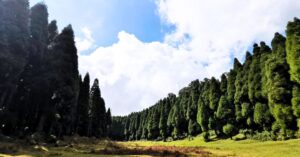 Darjeeling mini Pahelgam in North Bengal doyou know where this new address