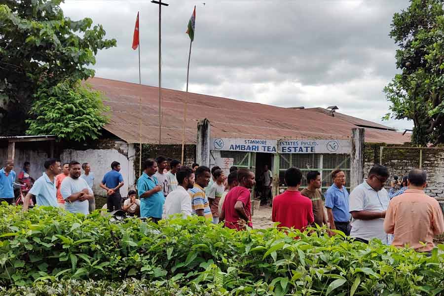 Dooars tea garden closed again