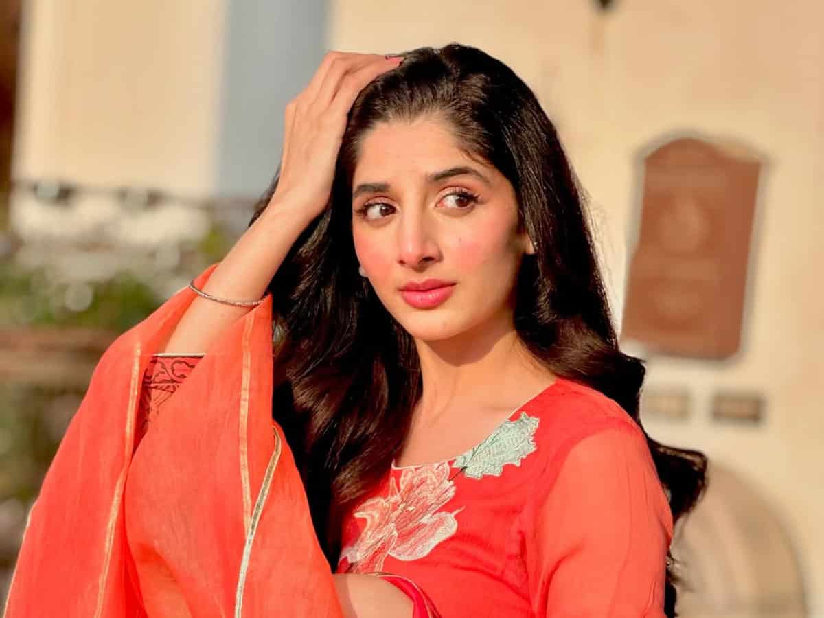 Pakistan celebrities instagram account can be seen again