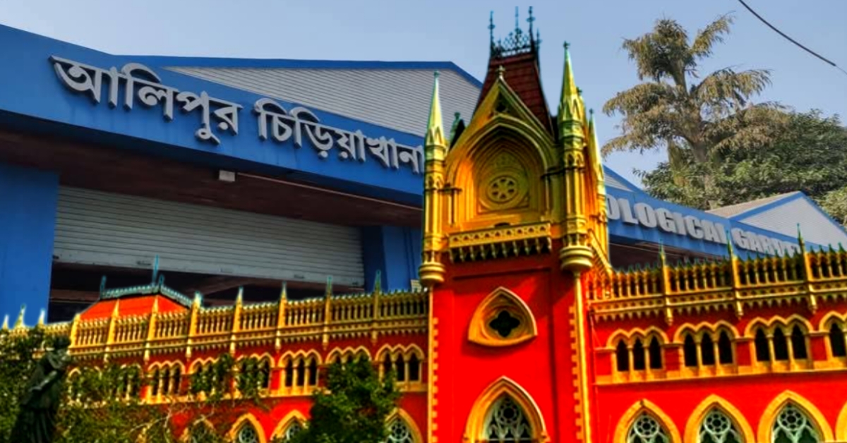 Calcutta High Court Seeks Report on Missing Animals from Alipore Zoo
