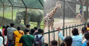 Calcutta High Court Seeks Report on Missing Animals from Alipore Zoo