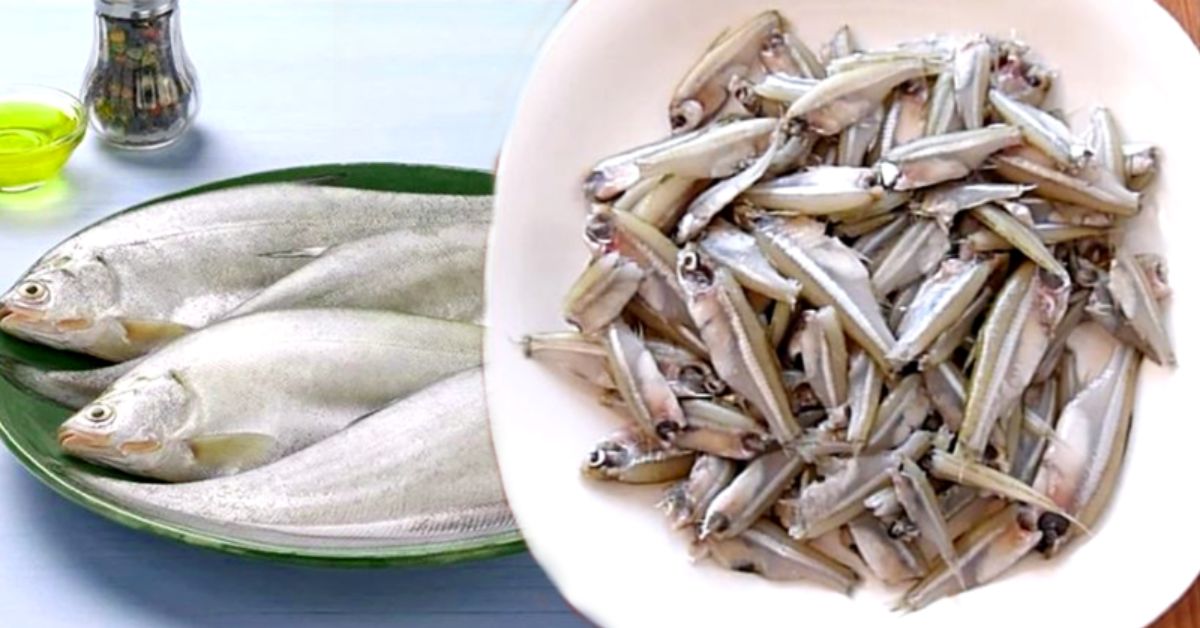 Health these fish are effective in taking care of all body organs from eyes to heart