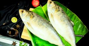 Hilsa Fish the size of a Pella was caught in a net where did such a big fish come from, you will be shocked to hear the price