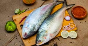 Hilsa Fish will silver fish be available before Puja What do fishermen say