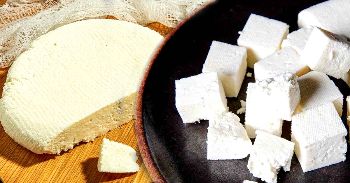 Fake Paneer the market is flooded with adulterated cheese you can identify it in just 2 minutes