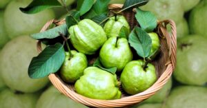 Health Tips the benefits of easily available guava will surprise you