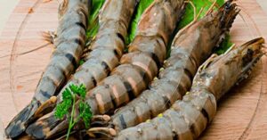 Donald Trump the country's prawn business is facing losses due to Trump's tariff bomb traders are worried