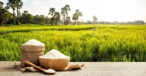 Bardhaman demand for Govinda Bhog rice is increasing in Dubai and Kuwait rice farmers are hoping for profit