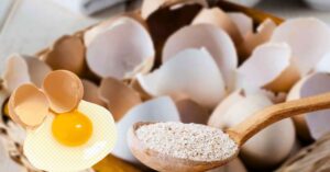 Skin Care before Puja Use this part of egg get glowing skin