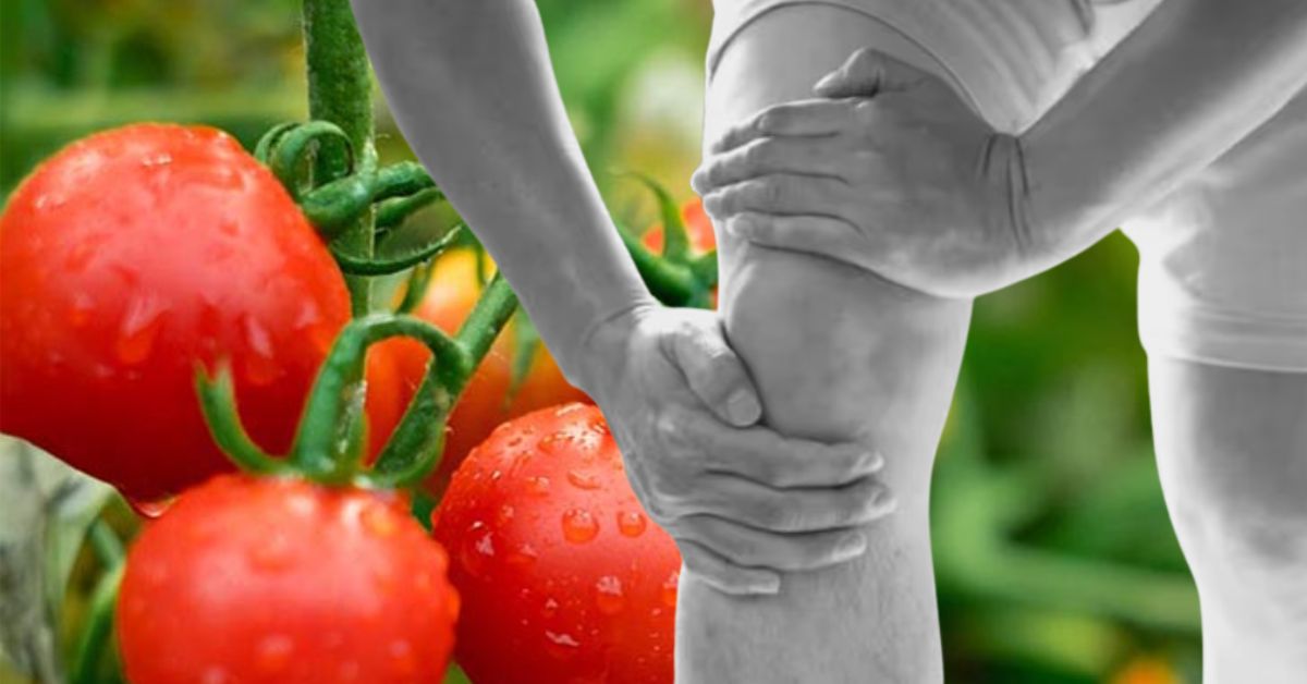 Health the taste will not decrease not will uric acid increase what food should you put on your plate instead of tomatoes