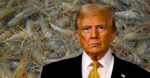 Donald Trump the country's prawn business is facing losses due to Trump's tariff bomb traders are worried