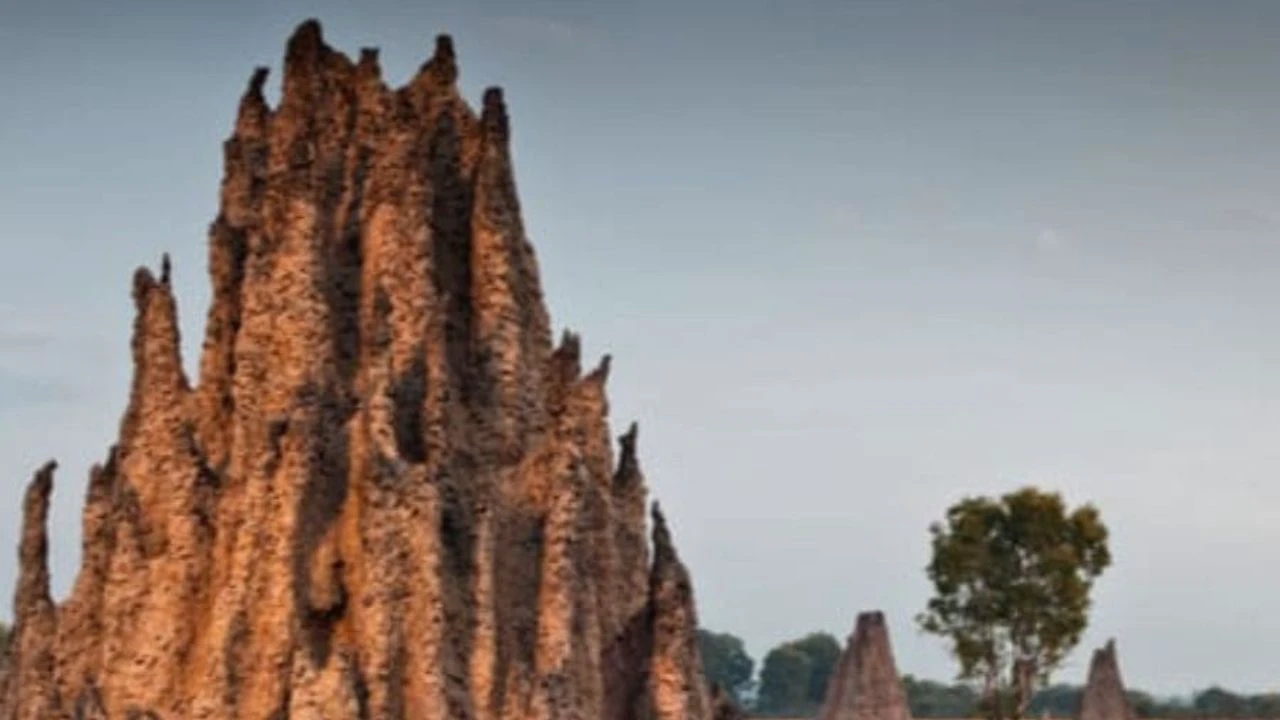 Special Durga Puja 2025 in West Bengal this place