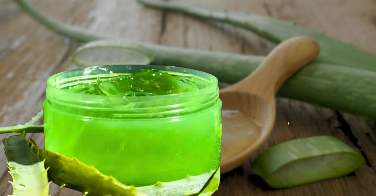 Skin Care not a face cream aloe vera gel will restore radiance, know the correct method of application
