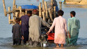 Pakistan minister suggests keeping buckets full of flood water
