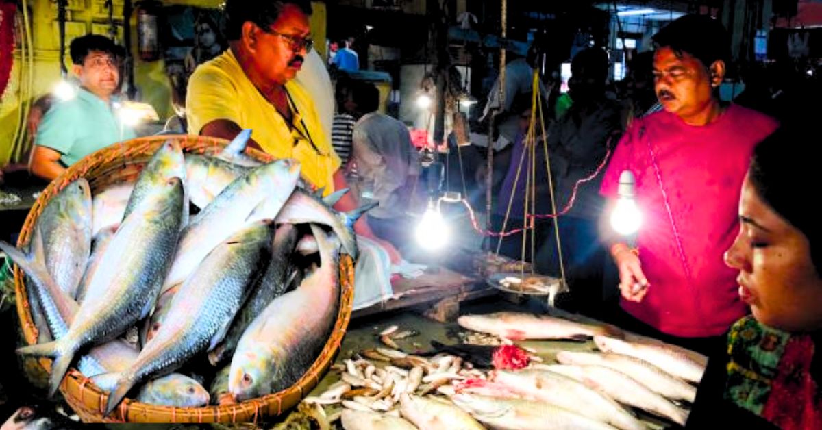 Hilsa Fish Maniktala and Gariahat are bustling with cheap hilsa with a crowd of buyers since morning