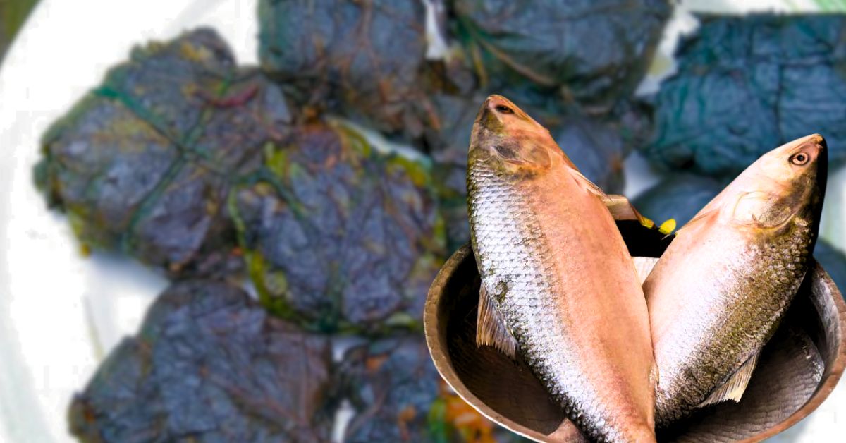 Recipe enjoy salted hilsa with raw leaves in bhuribhoj during hilsa season