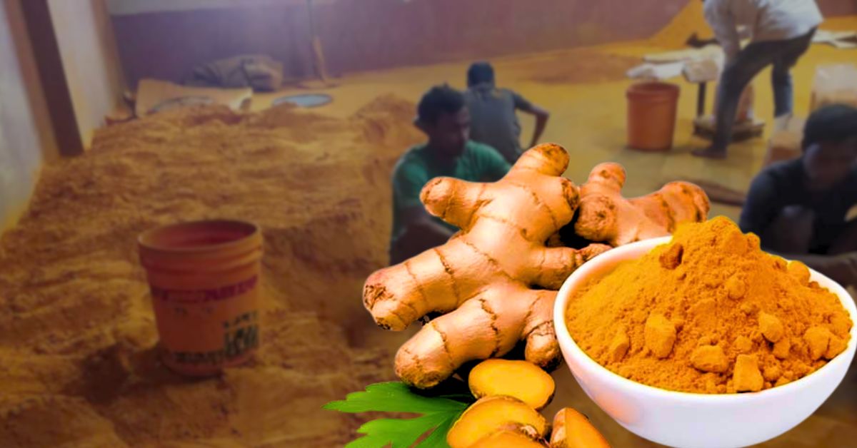 Murshidabad horrible fraud in adulterated turmeric is reaching the kitchen table