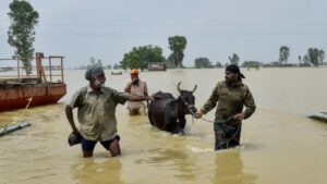 Many people lost their lives in floods, PM to visit Punjab