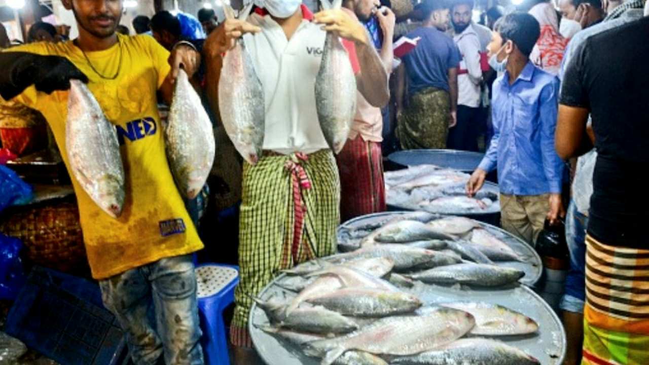 Who should avoid hilsa fish for health reasons 