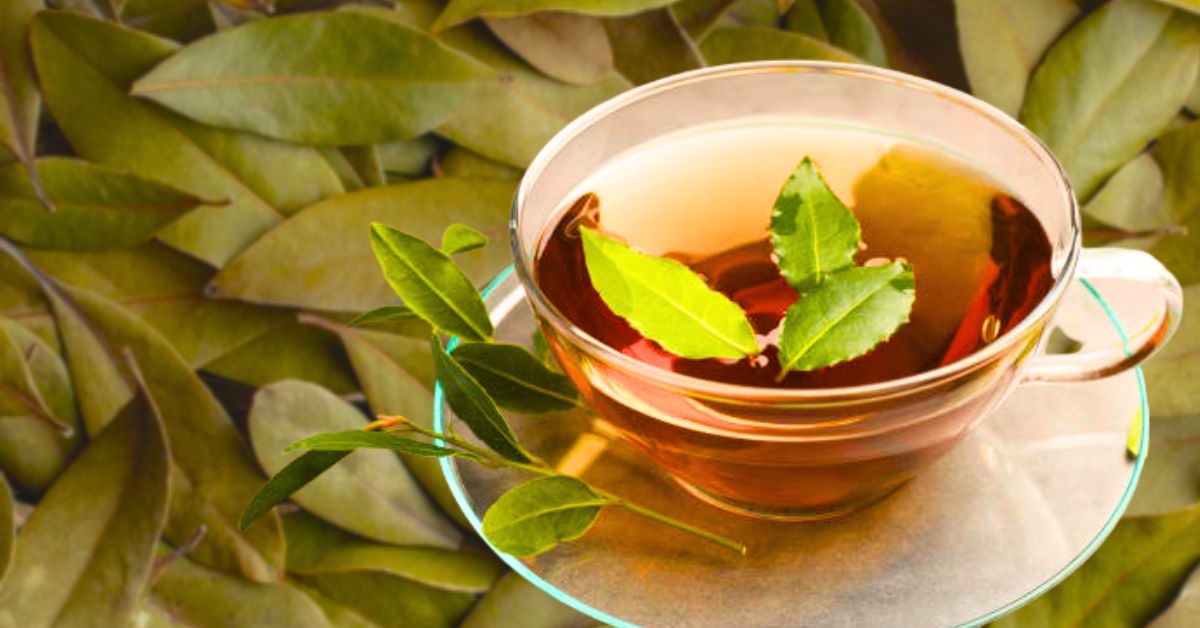 Health a cup of bay leaf water in the morning will give you a healthy body and freshness