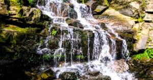 Darjeeling away from the hustle and bustle you will find the true taste of travel in a quiet hill village